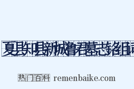 夏县知县新城鲁君墓志铭组词是什么意思的图片